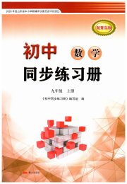 同步练习册泰山出版社九年级数学青岛版