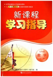 新课程学习指导九年级数学华师大版