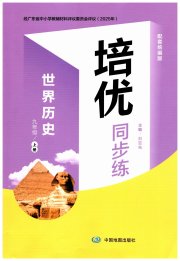 培优同步练九年级历史人教版广东专版