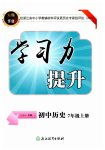 2025年学习力提升七年级历史上册人教版