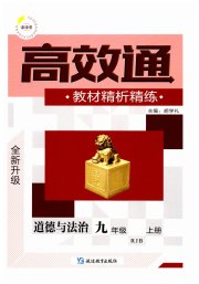 高效通教材精析精练九年级道德与法治人教版
