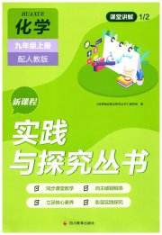 新课程实践与探究丛书九年级化学人教版