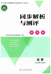 同步解析与测评学考练九年级化学人教版广东专版