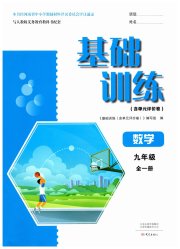 基础训练九年级数学人教版大象出版社