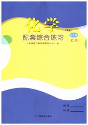 化学配套综合练习九年级人教版甘肃文化出版社