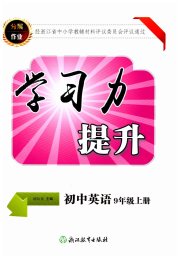 学习力提升九年级英语人教版
