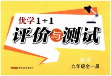 2026年优学1+1评价与测试九年级化学全一册人教版