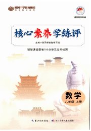 核心素养学练评八年级数学人教版