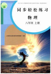 同步轻松练习八年级物理人教版