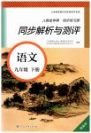 2023年人教金学典同步练习册同步解析与测评九年级语文下册人教版精编版
