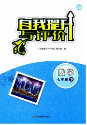 自我提升与评价七年级数学人教版