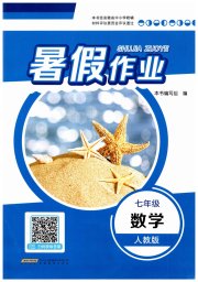 暑假作业七年级数学人教版安徽教育出版社