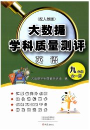 大数据学科质量测评九年级英语人教版