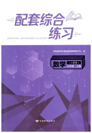 配套综合练习甘肃九年级数学人教版