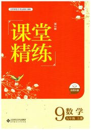 课堂精练九年级数学北师大版大庆专版