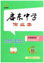 启东中学作业本九年级化学鲁教版