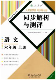 人教金学典同步解析与测评六年级语文人教版云南专版