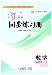同步练习册山东科学技术出版社六年级数学鲁教版五四制