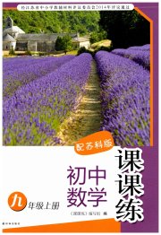 课课练初中数学九年级苏科版