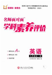 名师面对面学科素养评价九年级英语人教版