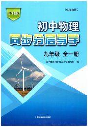 同步分层导学九年级物理沪科版海南专版