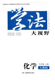 学法大视野九年级化学人教版