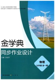 金学典同步作业设计九年级物理人教版