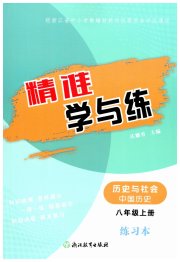 精准学与练八年级历史人教版