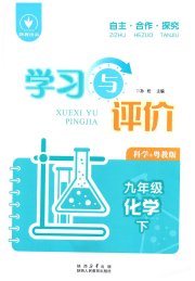 新课程学习与评价九年级化学科粤版