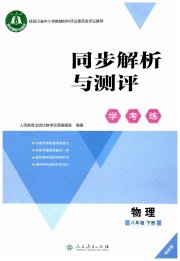 同步解析与测评学考练八年级物理人教版精练版