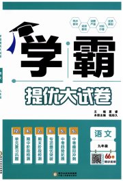 学霸提优大试卷九年级语文人教版
