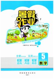 暑假作业完美假期生活五年级数学湖南教育出版社