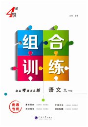 学霸组合训练九年级语文人教版南通专版