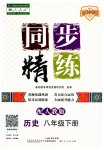 2023年同步精练广东人民出版社八年级历史下册人教版