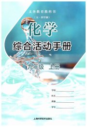 综合活动手册九年级化学沪教版54制