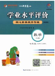 学业水平评价七年级数学人教版