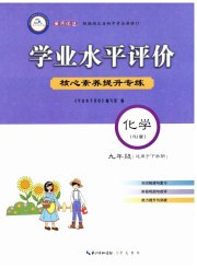 学业水平评价九年级化学人教版