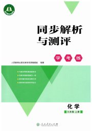 同步解析与测评学考练九年级化学人教版