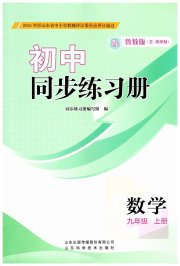 同步练习册山东科学技术出版社九年级数学鲁教版五四制