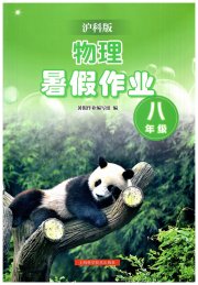 暑假作业上海科学技术出版社八年级物理沪科版