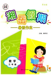 湘岳假期暑假作业三年级数学人教版