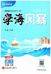 学海风暴九年级语文人教版
