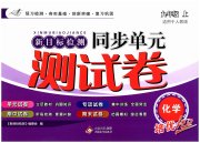 新目标检测同步单元测试卷九年级化学人教版