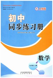 初中同步练习册九年级数学人教版山东教育出版社