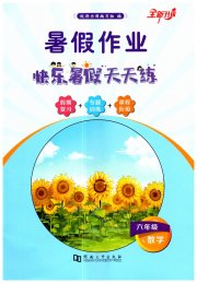 暑假作业快乐暑假天天练六年级数学人教版