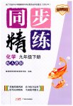 2026年同步精练广东九年级化学下册人教版