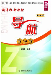 新课程新教材导航学九年级化学科学版