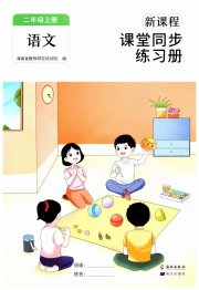 新课程课堂同步练习册二年级语文人教版