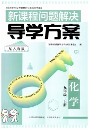 新课程问题解决导学方案九年级化学人教版