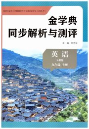 金学典同步解析与测评贵州人民出版社九年级英语人教版